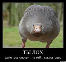 Урок "вежливости"
