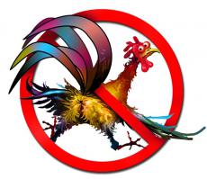 Россия поворачивает на восток