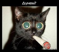 Американские СМИ: США предлагают сделать Украину «вторым Афганистаном»