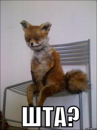 Путинский снег