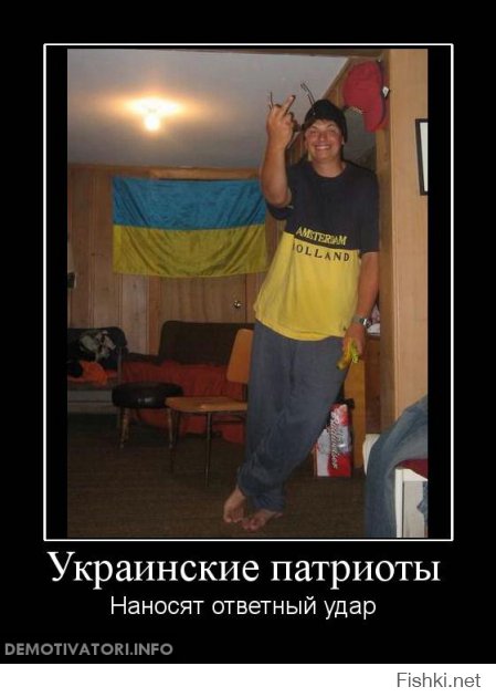 НАТО: участники, вооруженные силы, эволюция