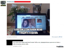 Смешные комментарии из социальных сетей 11.11.14