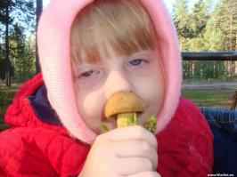 В Петербурге запретили продажу всех алкогольных энергетиков