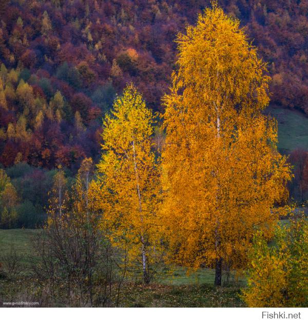 Осень в Карпатах