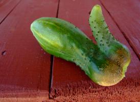 вот для double penetration