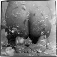 жопа в перьях вот и не примерзают