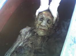 Специально для любопытного "санитара из леса" - как то примерно так