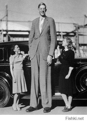 Роберт Першинг Вэдлоу (Robert Pershing Wadlow). Родился в 1918 г. в Олтоне, шт. Иллинойс, США. Когда 27 июня 1940 г. ему в последний раз измеряли рост, он равнялся 2.72 м при размахе рук 2.88 м.