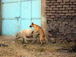 Тебе на понять...ты не любил...