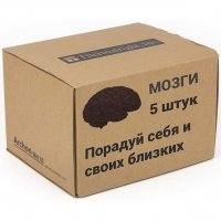 «Мы — боевая пехота Владимира Путина»
