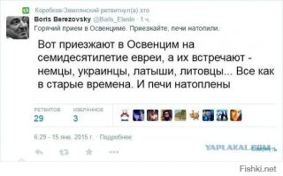 Глава МИД Польши признал освобождение Освенцима за Украиной