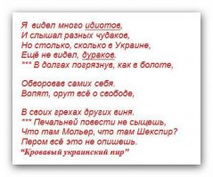 Украинский офицер не смог ответить, зачем он повел солдат на убой