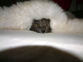 Нафиг эту зиму!