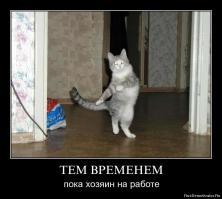 "Тем временем" в разных странах мира