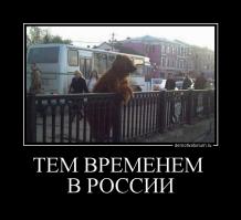 "Тем временем" в разных странах мира
