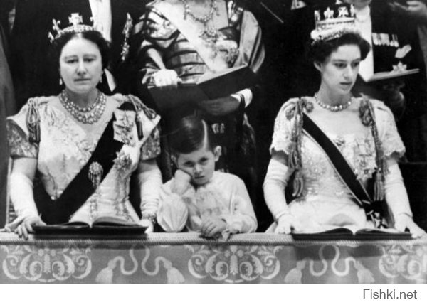 Принц Чарльз на коронации Елизаветы 2. 1953 г
