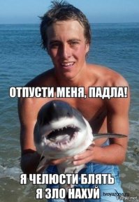 Австралиец поймал акулу голыми руками