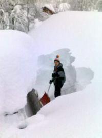 Да нет, не холодно. Редко бывает ниже -10. Гольфстрим греет. А вот снега много. В первую мою зиму там в апреле месяце (!) был установлен местный рекорд по лежащему на земле снегу. Высота снежного покрова составила 2,4 метра. Всего же за эту зиму выпало 8,7 метров снега. Были даже созданы муниципальные службы, которые помогали людям в буквальном смысле откопать выход из дома