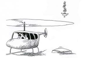 Самоубийство кролика