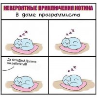 Жизнь программиста