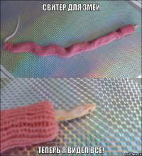 Эти животные знают, как не замерзнуть зимой