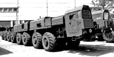 а как же эти зверьки?