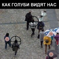 Может все-таки не глазами птиц, а с высоты птичьего полета?
Птицы видят скорее так: