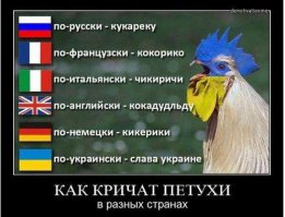 С днем рождения Моторола!