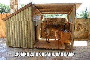 Мне вот такой понравился, функционально и опрятно смотрится