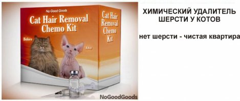 Кот на фотке "до" явно что-то подозревает