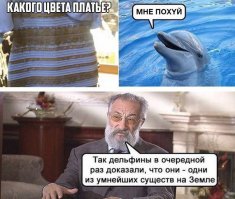 Похоже, я дельфин, так же ответил когда первый раз спросили