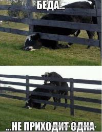 Баян,но не смогу удержаться