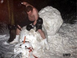 17 самых крутых снеговиков этой зимы