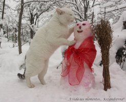 А тут развернулась настоящая драма похоже