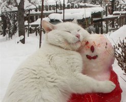 А тут развернулась настоящая драма похоже