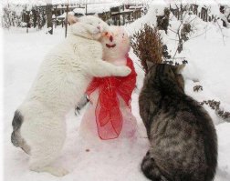 А тут развернулась настоящая драма похоже