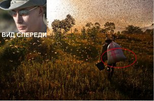 30 завораживающих фотографий миграции животных и насекомых