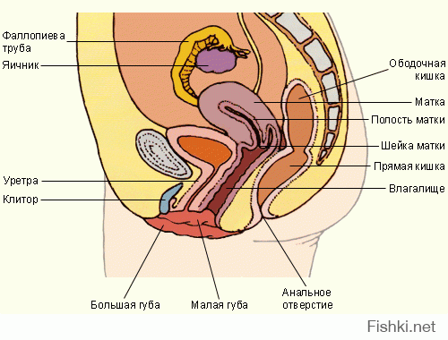 Порнография нашей юности