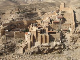 Поделюсь своими ,камни не кидайте не фотограф я :)