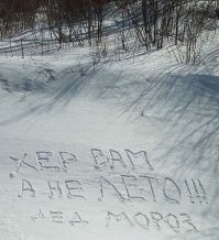 10 картинок, которые ускорят приход весны