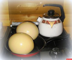 Лёгкий завтрак...
Страус-яйца