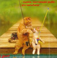 Молодец котяра!!!