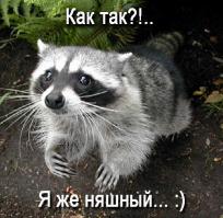 Необычный домашний питомец!