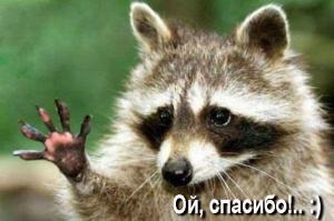 Необычный домашний питомец!