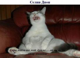 Котяка - подпевака