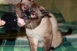 И еще один зубастый одессит Тайфун ))