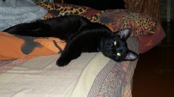 Черчиль, поточу как "черный", неинтересно,