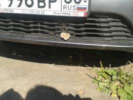Подборка автоприколов. Часть 168