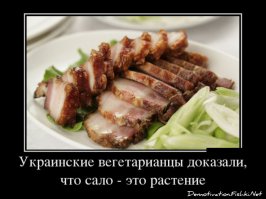 Настоящие произведения искусства из веганских блюд 