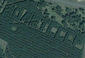 15 удивительных посланий и надписей найденных спутником Google Earth